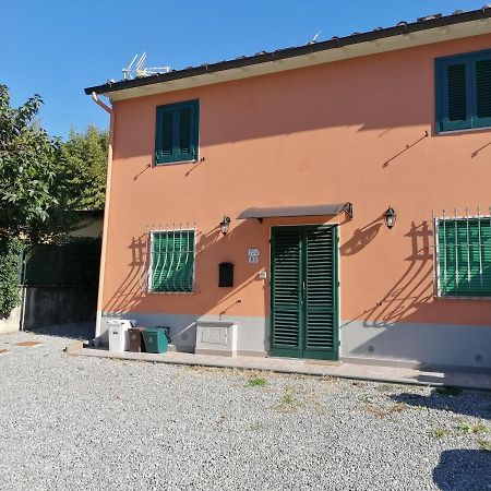 La Casina Da Lilli Villa Lucca Eksteriør billede